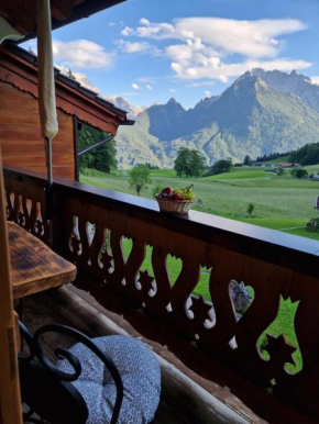 Ferienwohnung Datzmannlehen mit traumhaften Bergblick und Sauna